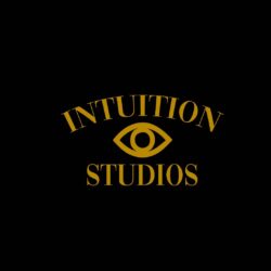 INTUITION STUDIOS